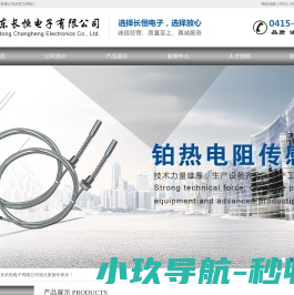 丹东长恒电子有限公司