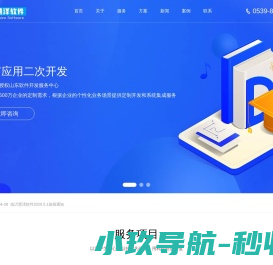 临沂软件开发公司