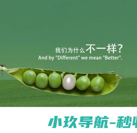 北京高端网站设计