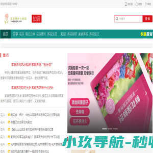达人和花友每日分享专业的养花知识