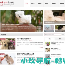 茶杯犬,茶杯猫,小香猪,迷你袖珍泰迪贵宾狗