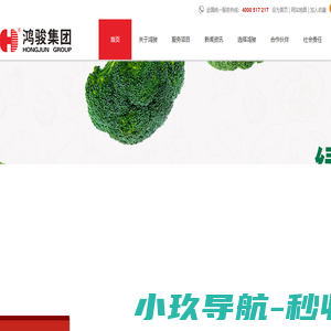 东莞市鸿骏膳食管理有限公司