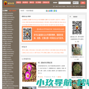 爱仙园_关于仙人掌和多肉植物的一切