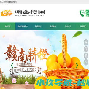 江西赣南脐橙批发价格