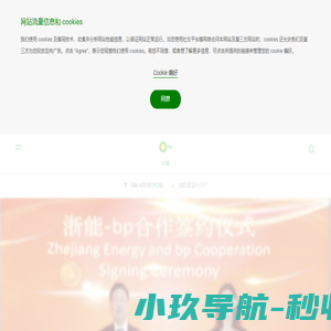 bp中国