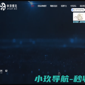 动物造模