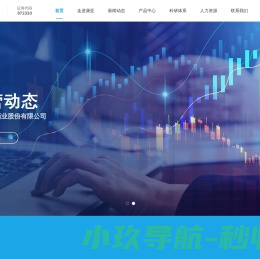 宁夏康亚药业股份有限公司