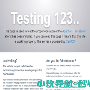 IT时报