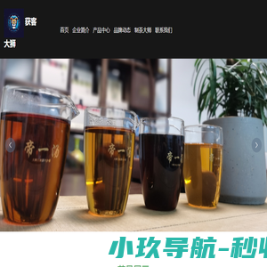 获客大狮（武汉）广告传媒有限公司企业官网