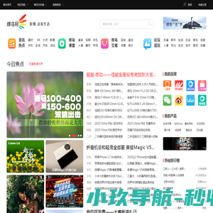 蜂鸟网