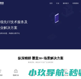 高端定制软件