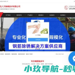 钢筋除锈剂