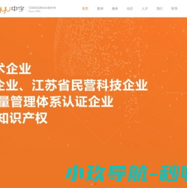 高端定制网站