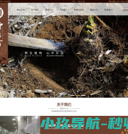 泸州野植珍食品有限公司