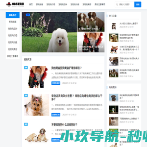 宠物狗的价格及品种