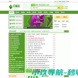 苗木价格|苗木行情|绿化苗木价格|苗木求购信息|苗木供应信息|买树苗网