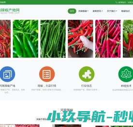 河南辣椒产地网