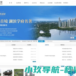 深圳市特发集团有限公司