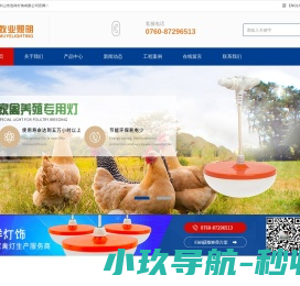 网站截图