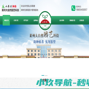 福星苹果苗-苹果苗新品种-小草沟种苗-莱州大自然园艺科技