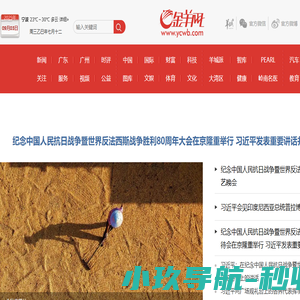 金羊网
