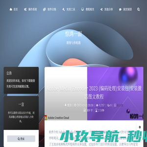 惊鸿一面