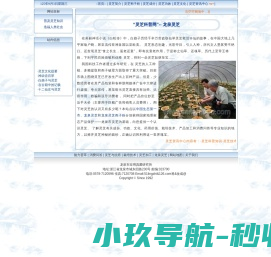 网站截图