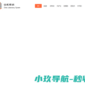 中实系统