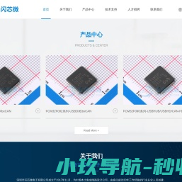 深圳市闪芯微电子有限公司