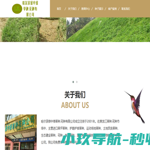 哈尔滨哪买卖草种