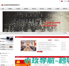 山东耐火材料集团有限公司：山东耐材