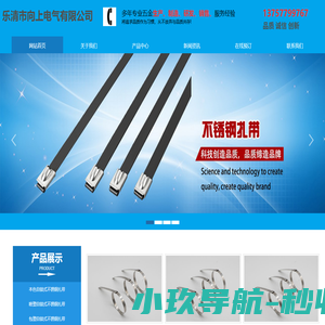 乐清市向上电气有限公司