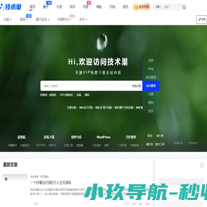 碳刷