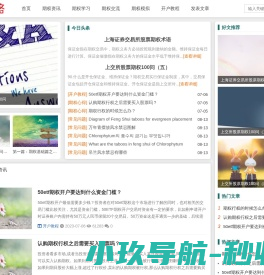 期权路
