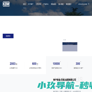 网站截图