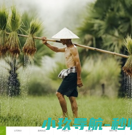 首页