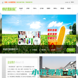 玉米播种器,玉米播种机厂家,播种器-桦甸市桦郊乡更新农具厂