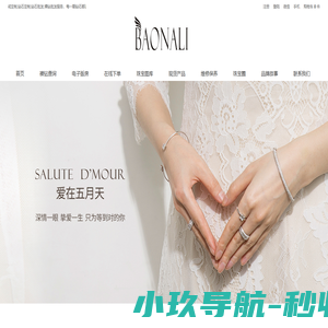 深圳市宝纳丽珠宝科技有限公司