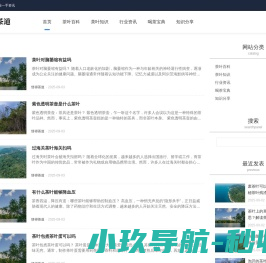 茶叶知识分享