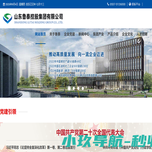 山东鲁泰控股集团有限公司