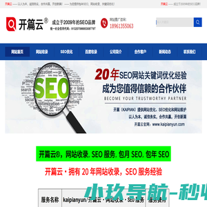 网站收录_SEO优化_网站推广-开篇云