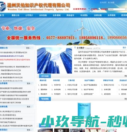 温州天佑知识产权代理有限公司