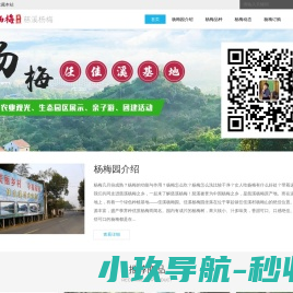 慈溪杨梅