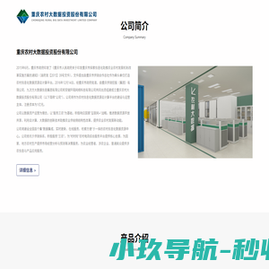 重庆农村大数据投资股份有限公司