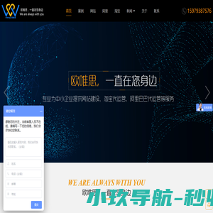 东莞市欧唯思网络科技有限公司-阿里巴巴代运营_淘宝代运营_东莞网站建设_东莞网站设计_东莞网站优化