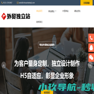 外贸网站建设