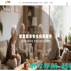 粤安芯智慧养老服务