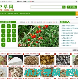 中草网
