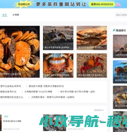 网站截图