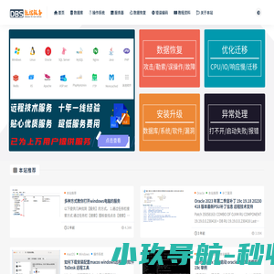 数据运维技术-数据库 服务器 网站 数据恢复 MySQL ORACLE  SQLServer